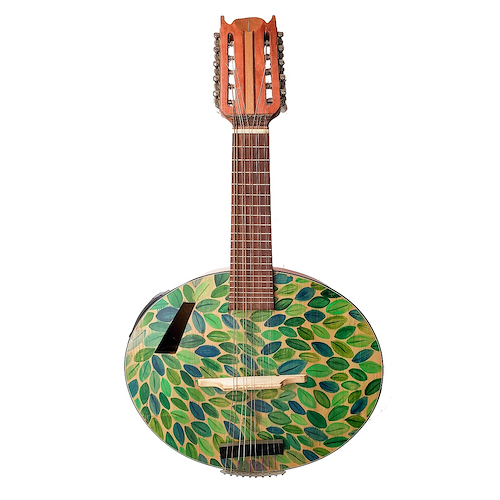 Mandolin Floreado Mandolin de 5 cuerdas ARTESANAL