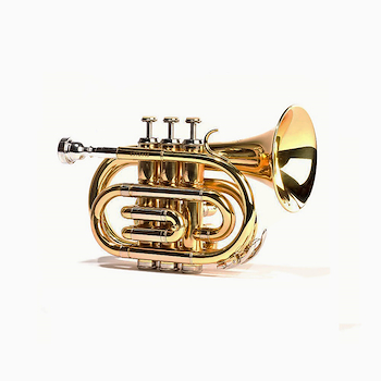 Instrumentos De Estudio Trompeta Pocket Laqueada dorada Custom CLEF