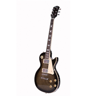 Guitarra Electrica Tipo Les Paul LP300BK PARQUER