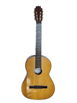 Guitarra de luthier Bazan guitarra USADO
