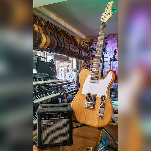 COMBO GUITARRA WINZZ, AMPLIFICADOR ROSS Y SOPORTE COMBO GUITARRA AMPL SOPORTE WINZZ