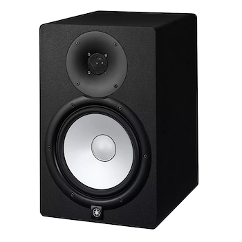 Monitor potenciado 2 vías 5