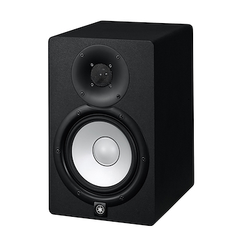 Monitor potenc. 2 vías 6,5