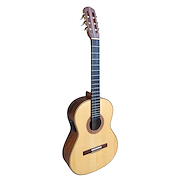 GRACIA HH ESPECIAL FISHMAN BLEND 301