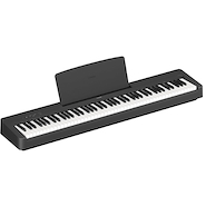 YAMAHA P145