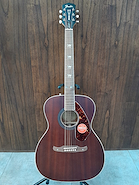 Tim Armstrong HellCat Guitarra acustica Fender