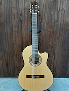 M10 C/EQ FS Guitarra c/ corte Medio Concierto y EQ Fishm