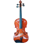 SV1011 Viola con estuche