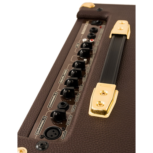 ROSS A25C Amplificador para acustica Deluxe 25W