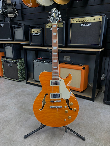 RL-3 Guitarra Electrica semihueca tipo 335