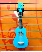 Santa Cruz UK200S-SB Ukelele 21