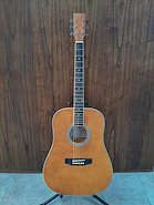 SD104BR Guitarra Acustica estilo dreadnought