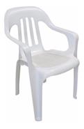 SILLA PLASTICA CON APOYABRAZOS PASADENA