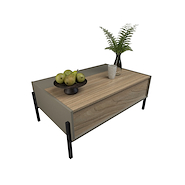 MESA DE CENTRO C/PUERTA GRIS C./OLMO F. 2023-CGO