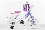 Bicicleta Mountain Bike Rodado 16 De Nene Con Rueditas FUTURA Twin
