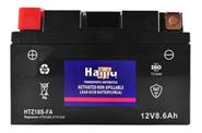 Bateria Gel (Ytz10s) 12V 8.6Ah HAIJIU Htz10s-Fa