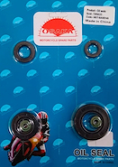 Kit De Retenes De Motor OSAKA Honda Tornado / Cbx Twister 250