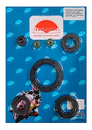 Kit De Retenes De Motor OSAKA Rx 150 / S2 150 / Hunter 150