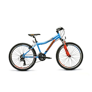 Bicicleta Mountain Bike Infantil R.24 F/Disco con suspension RALEIGH Scout