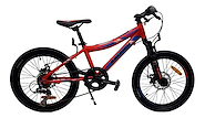 Bicicleta Mountain Bike Infantil R.20 F/Disco con suspension RALEIGH Rowdy