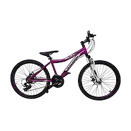 Bicicleta Mountain Bike Infantil R.24 F/Disco con suspension RALEIGH Scout dama