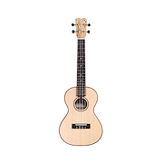 CORDOBA 24T TENOR NVC