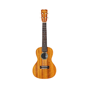 CORDOBA 20CM