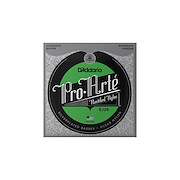 D'ADDARIO EJ29
