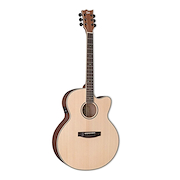 ESP LTD TOMBSTONE J310E-NS DREADNOUGHT