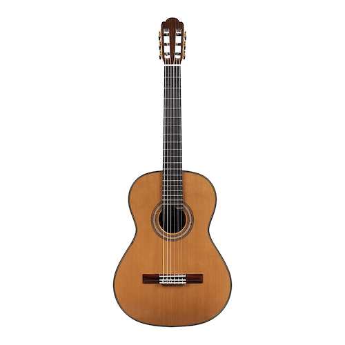 MARTINEZ PROFESSIONAL HAUSER STYLE C + ESTUCHE MCA45