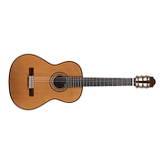 MARTINEZ PROFESSIONAL HAUSER STYLE C + ESTUCHE MCA45