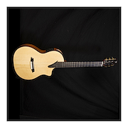MARTINEZ PERFORMER MS14M PRE FISHMAN CLA-301 + FUNDA Guitarra Clasica Ecualizador