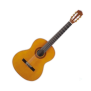 MARTINEZ ELEMENTARY MC20C + FUNDA MGB15