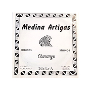 MEDINA ARTIGAS 1232 2DA.CHAR.SUELTA