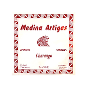 MEDINA ARTIGAS 1233 3RA.ENTORCHADA SUELT