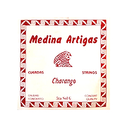 MEDINA ARTIGAS 1235 5TA.CHAR.SUELTA