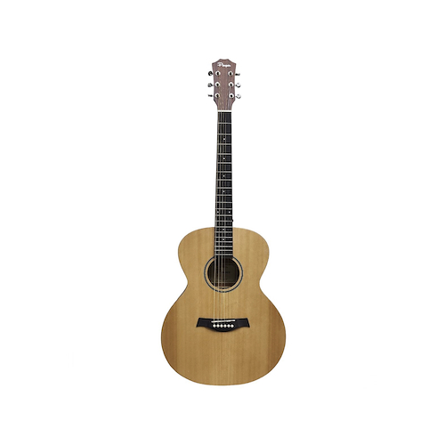 PARQUER GA450BZF