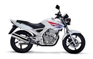 CBX250 Twister PIVAT PEDAL GEAR CHANQE HONDA