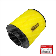 TRX 250 EX TE TM Recon FILTRO DE AIRE HONDA