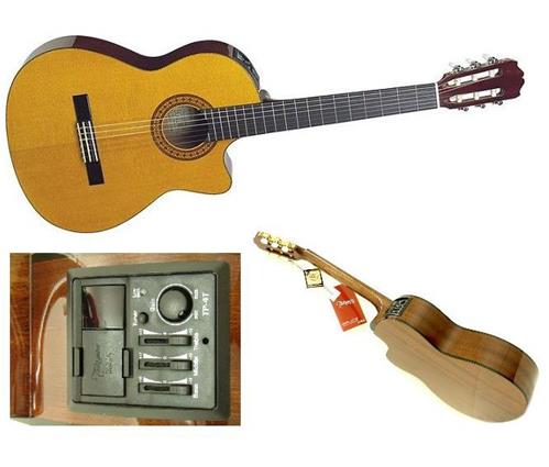 Takamine g series eg124c new arrivals