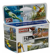 GNEISS GN-HP21 NEGRO CARTUCHO ALTERNATIVO HP