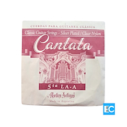 CANTATA 3635