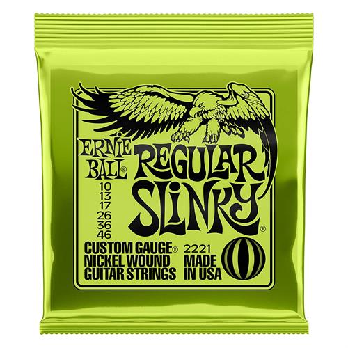 ERNIE BALL P02221