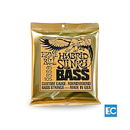 ERNIE BALL P02833