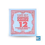 ERNIE BALL P01012