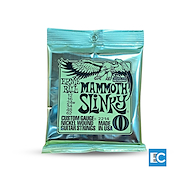 ERNIE BALL P02214