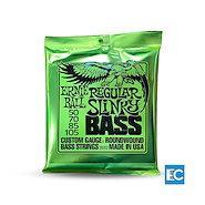 ERNIE BALL P02832