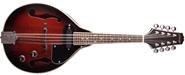 STAGG M50E
