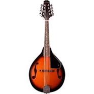 STAGG M20 