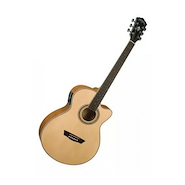 WASHBURN EA15N Natural